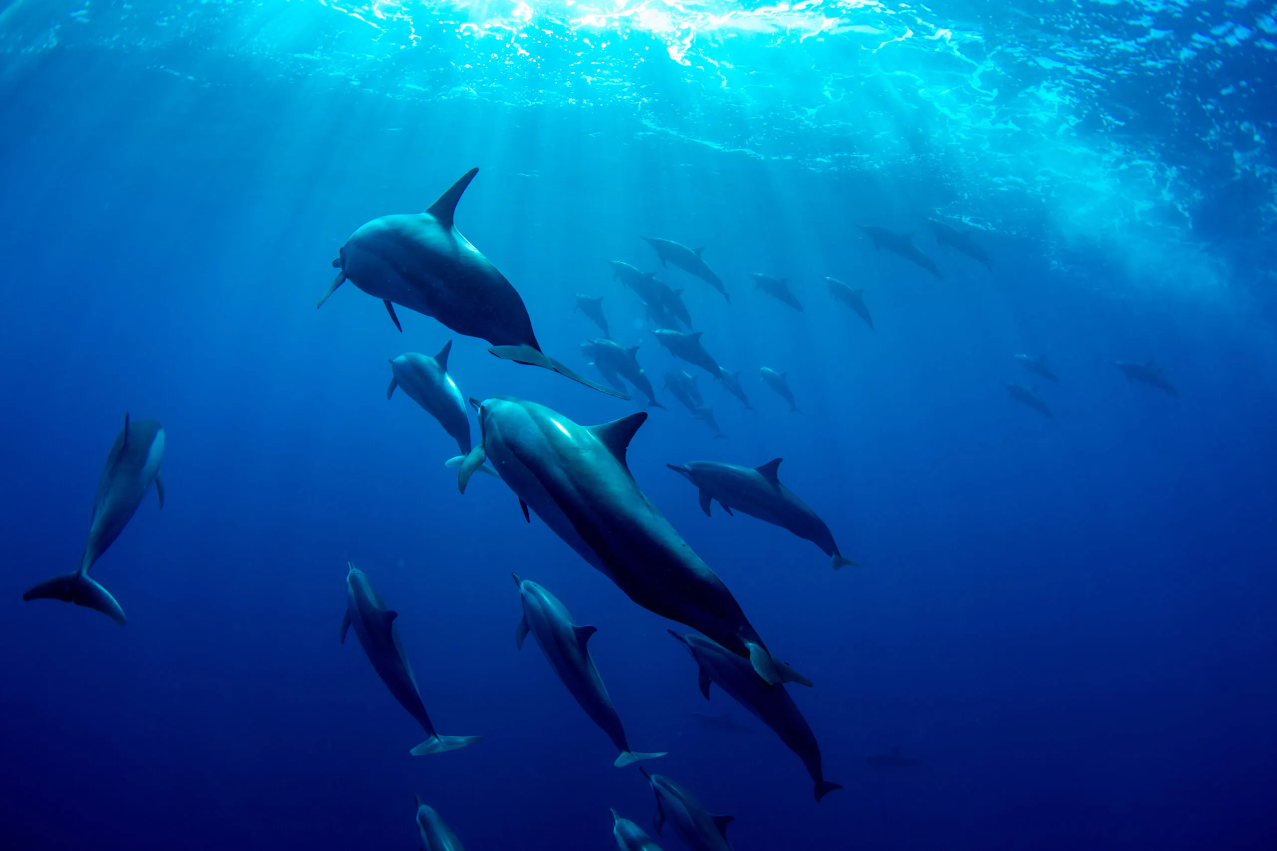 MAURITIUS – A YACHT CHARTER IN THE INDIAN OCEAN (2) | Phoenix Yacht Management