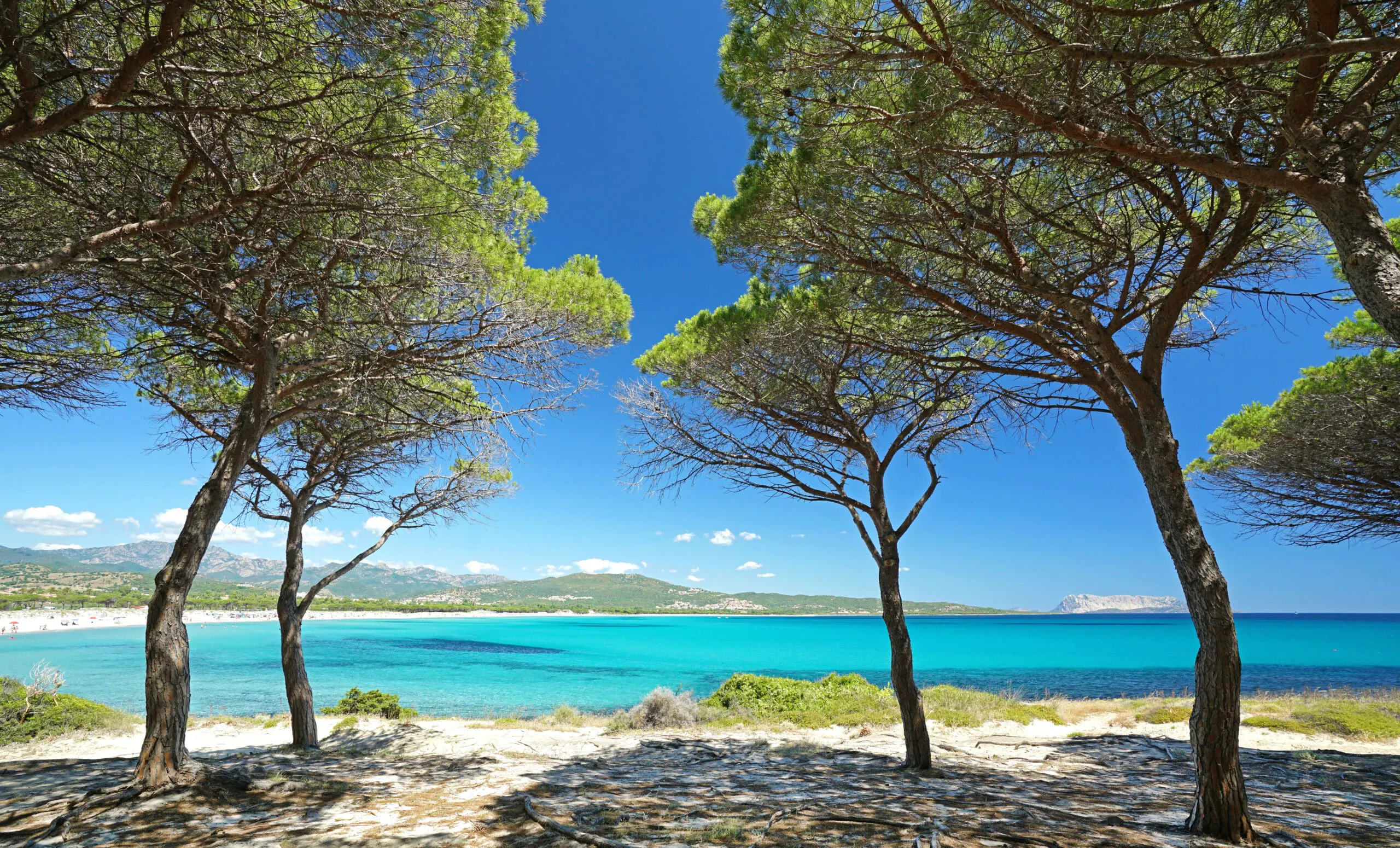 Sardinia yacht charter