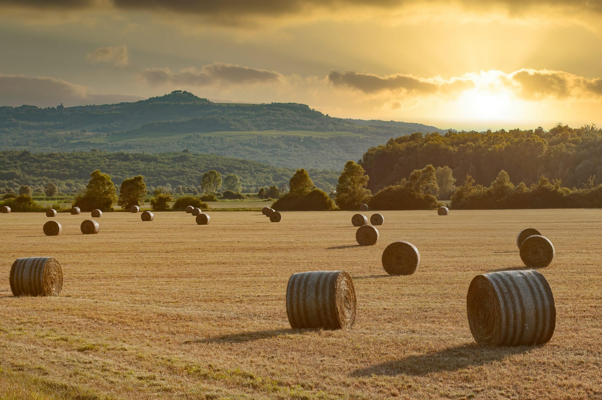 A GOURMET YACHT CHARTER THROUGH ISTRIA, CROATIA (1) | Phoenix Yacht Management
