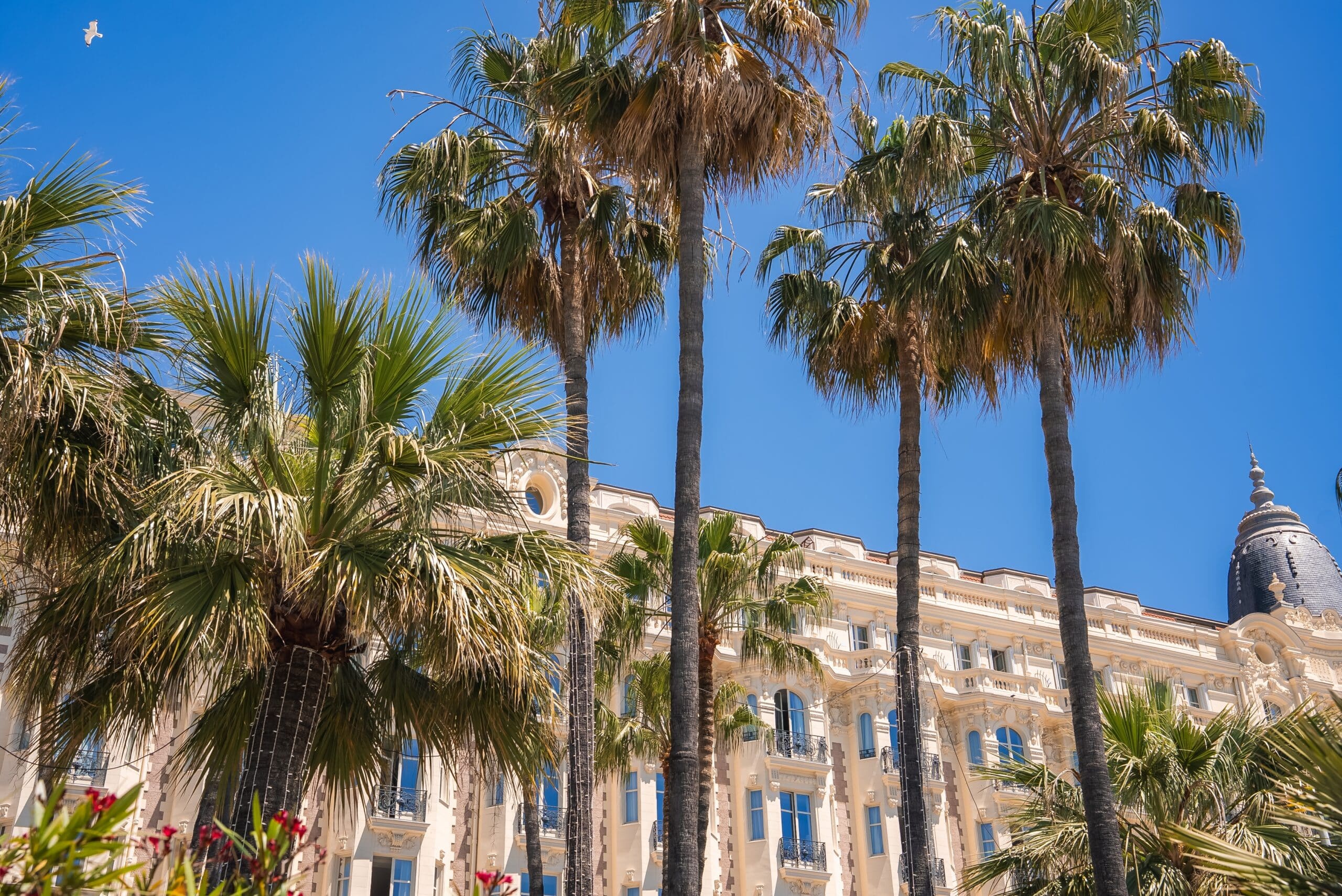 Yacht Charter in France | Charter a yacht in Cannes